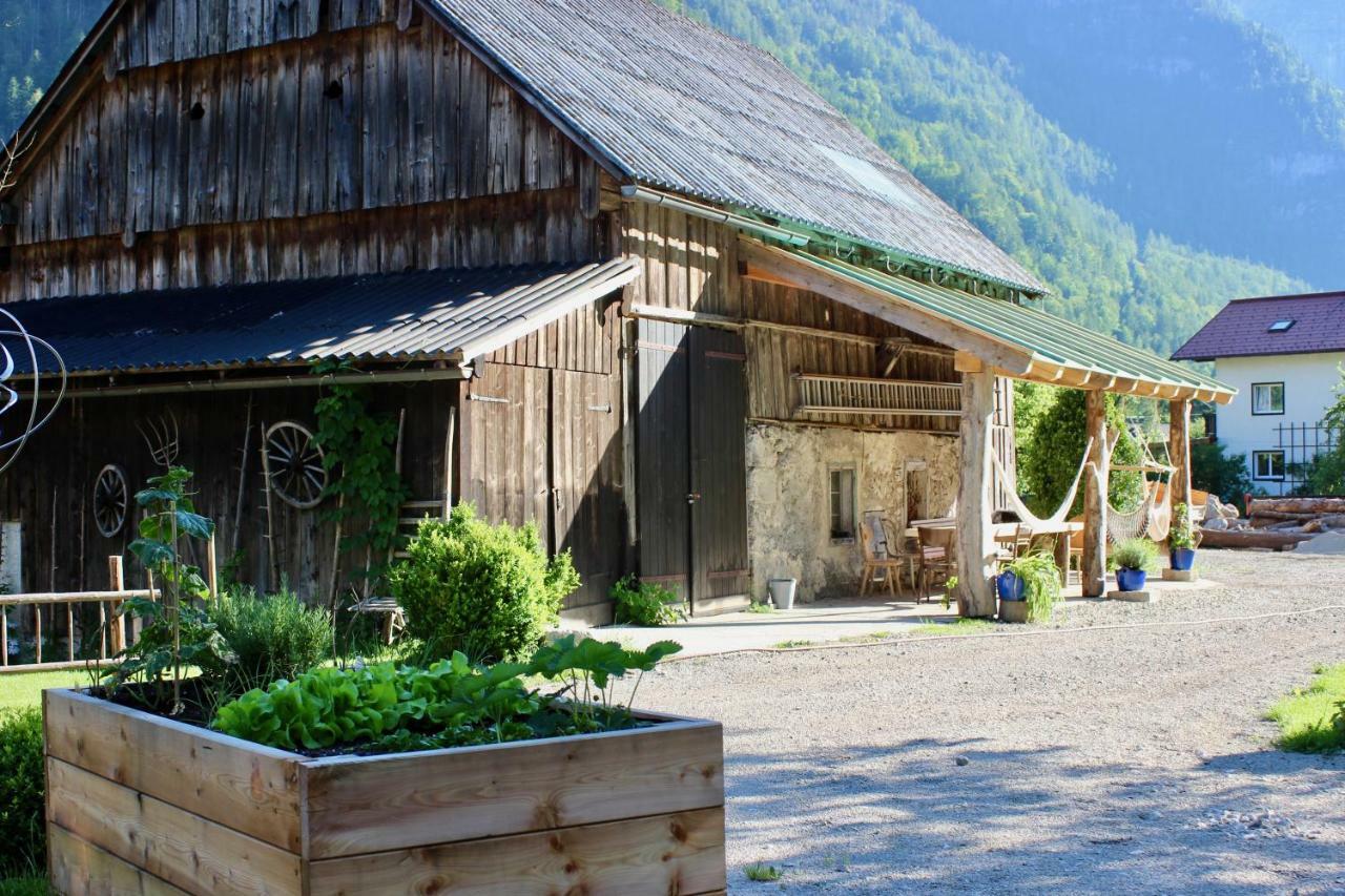 Chalet Am Sonnenhang Obertraun Zewnętrze zdjęcie